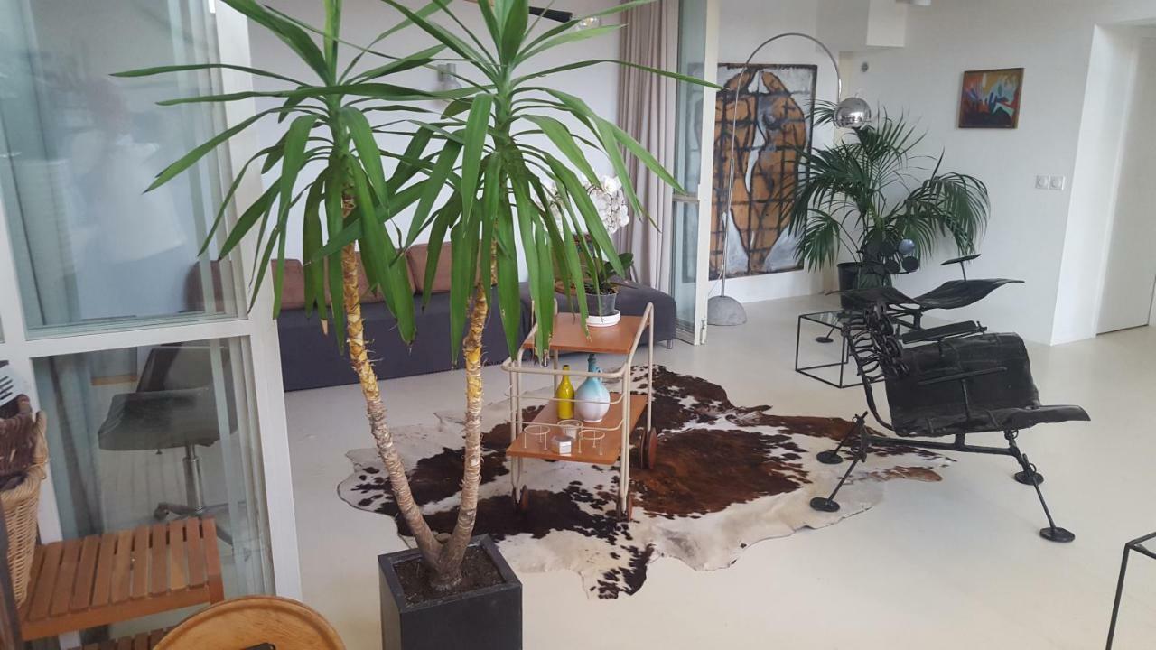 Holiday home Grand Loft Em33 Hyeres